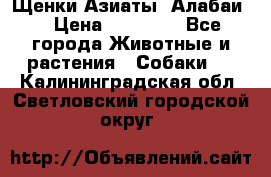 Щенки Азиаты (Алабаи) › Цена ­ 20 000 - Все города Животные и растения » Собаки   . Калининградская обл.,Светловский городской округ 